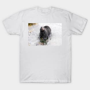 Wet Black Bear Shaking off water T-Shirt